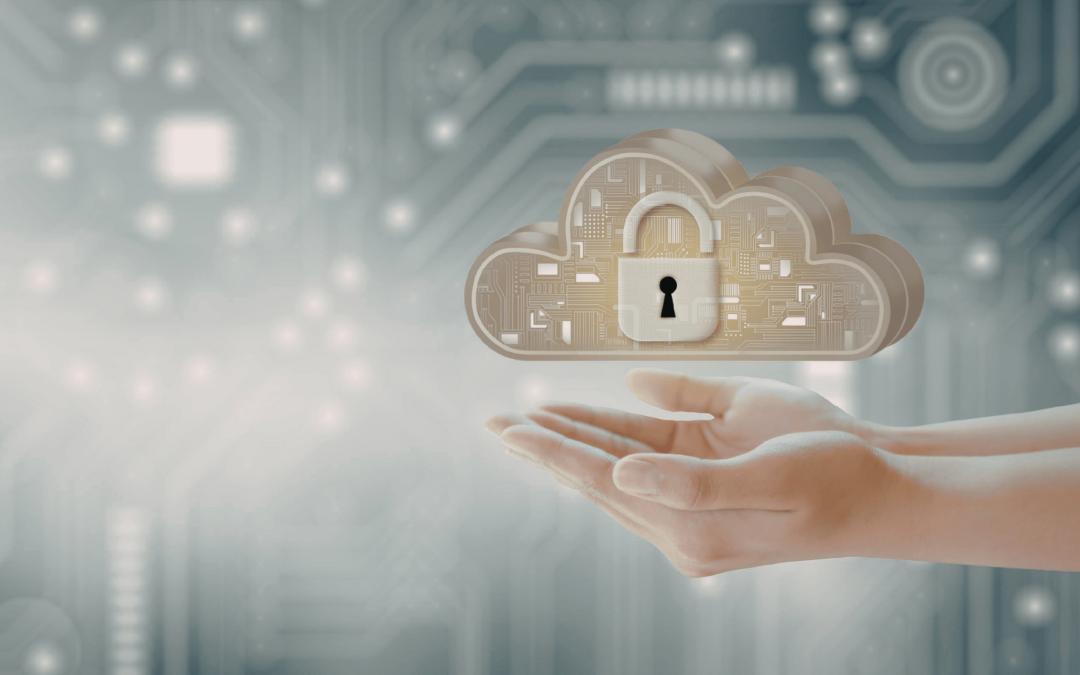 Princesang Reyna Privacy Overview