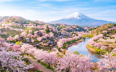 Cherry Blossom-Inspired Brightening