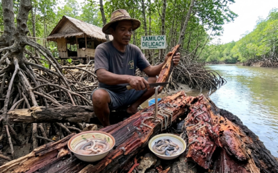 Tamilok (woodworm delicacy)